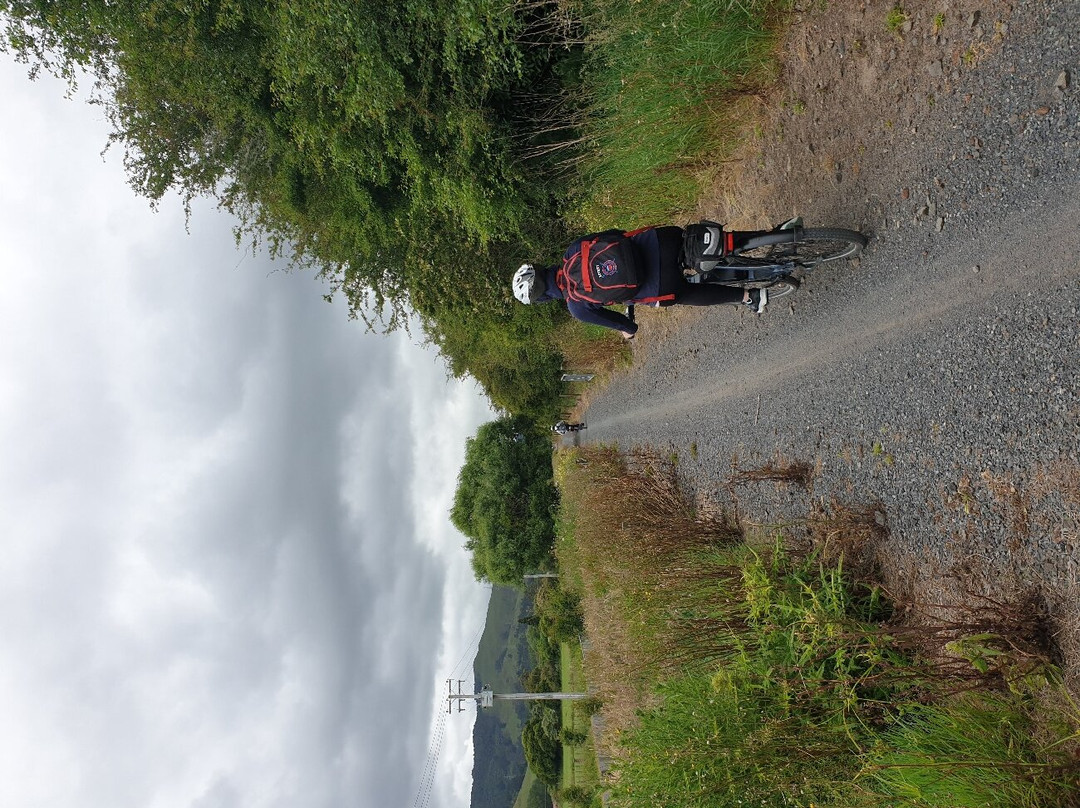 Adventure Bike Hire and Shuttle-Waihi必去景点