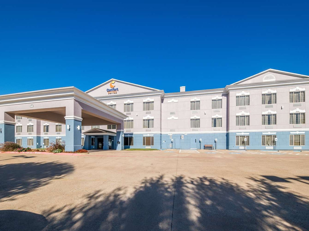 罗阿诺克酒店住宿-Comfort Suites Roanoke - Fort Worth North