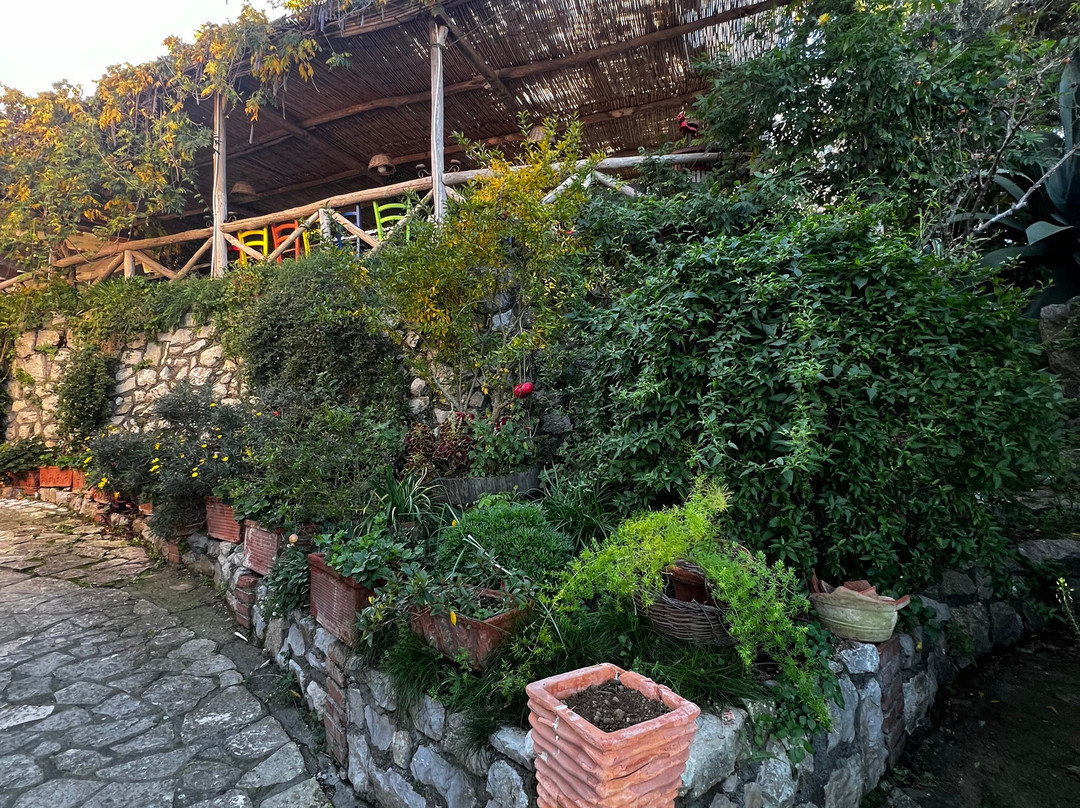 Giardino 21 Marzo主图