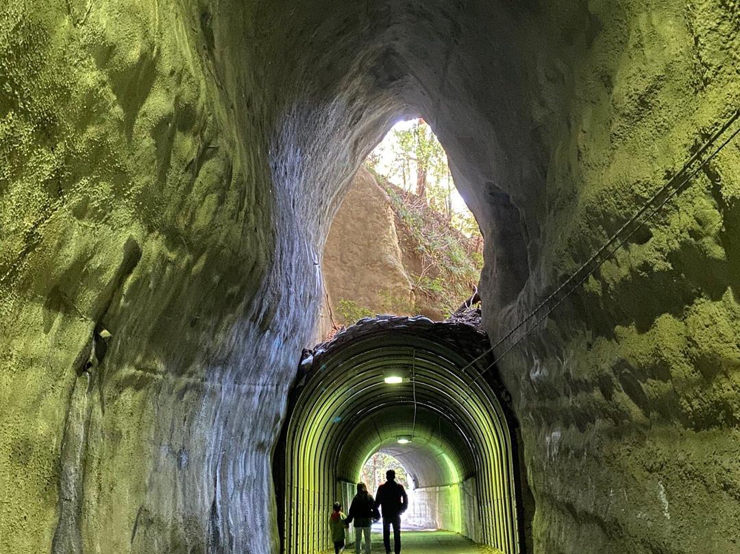 Kyoei / Mukoyama Tunnel景点图片