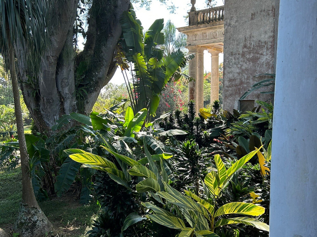 Museo El Lencero-哈拉帕必去景点