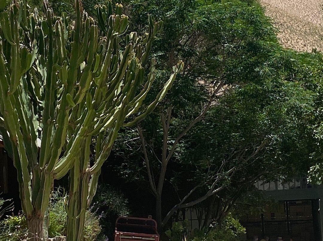 Cavas Del Valle-Monte Grande必去景点