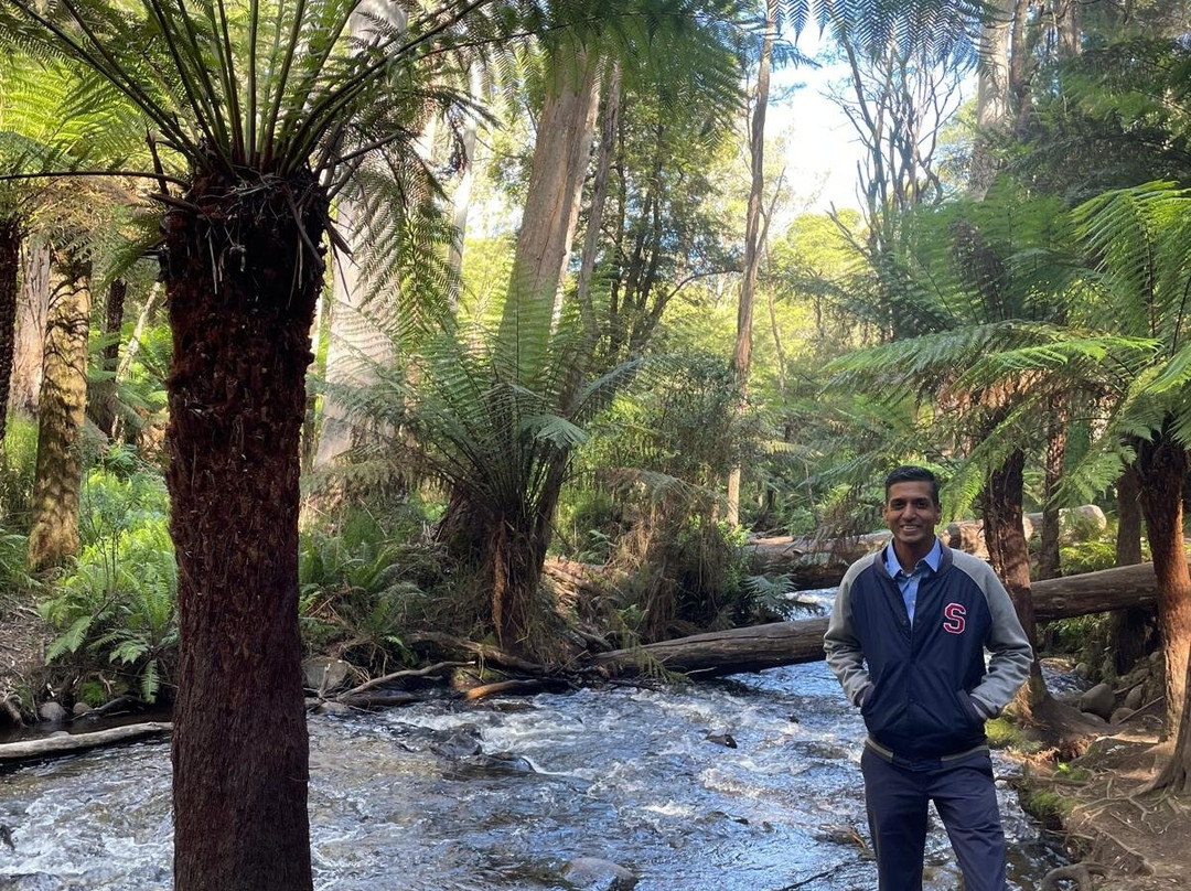 Redwood Forest-华伯登必去景点