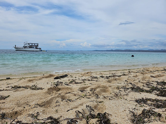 Sunrise Adventure Cruises-Alotau必去景点