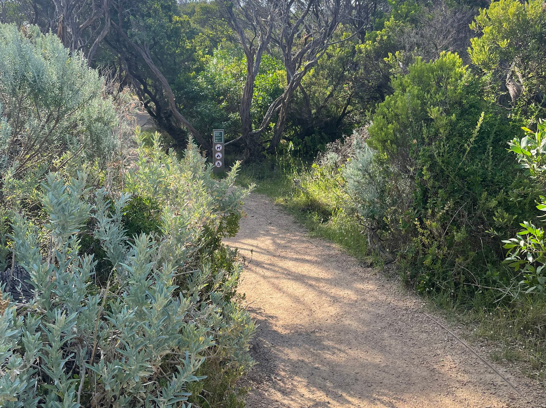 Cape Schanck Lighthouse景点图片