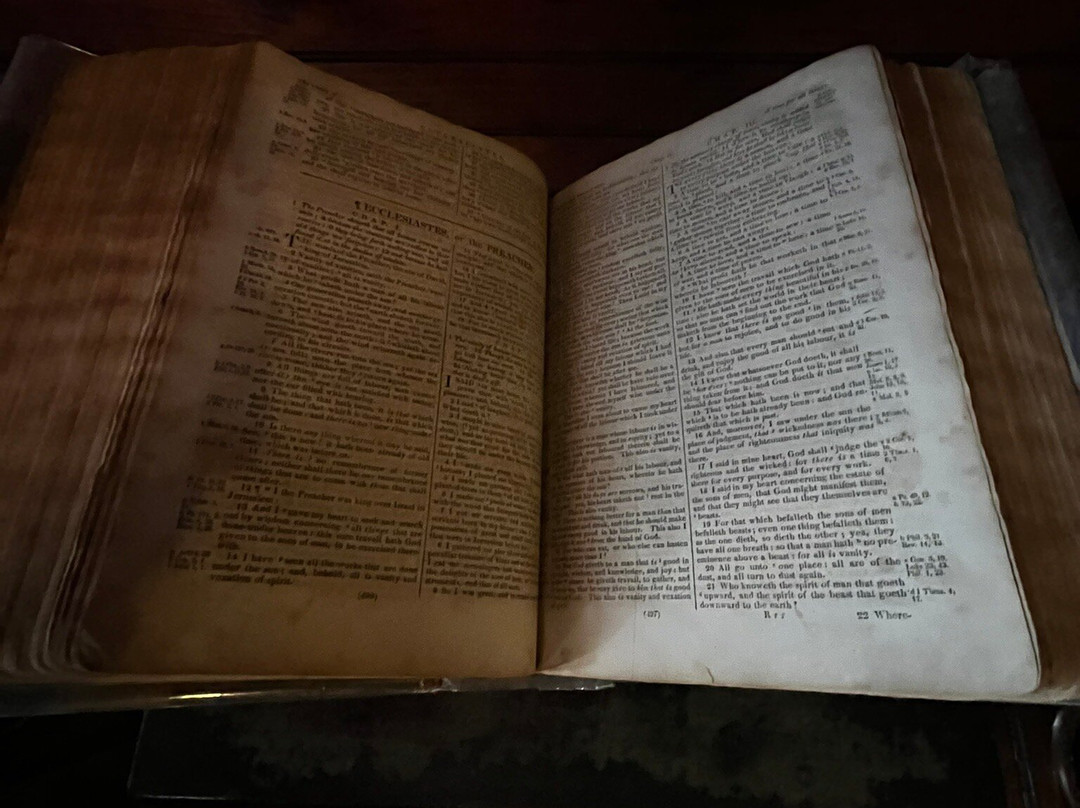 Tinker Swiss Cottage Museum & Gardens-罗克福德必去景点