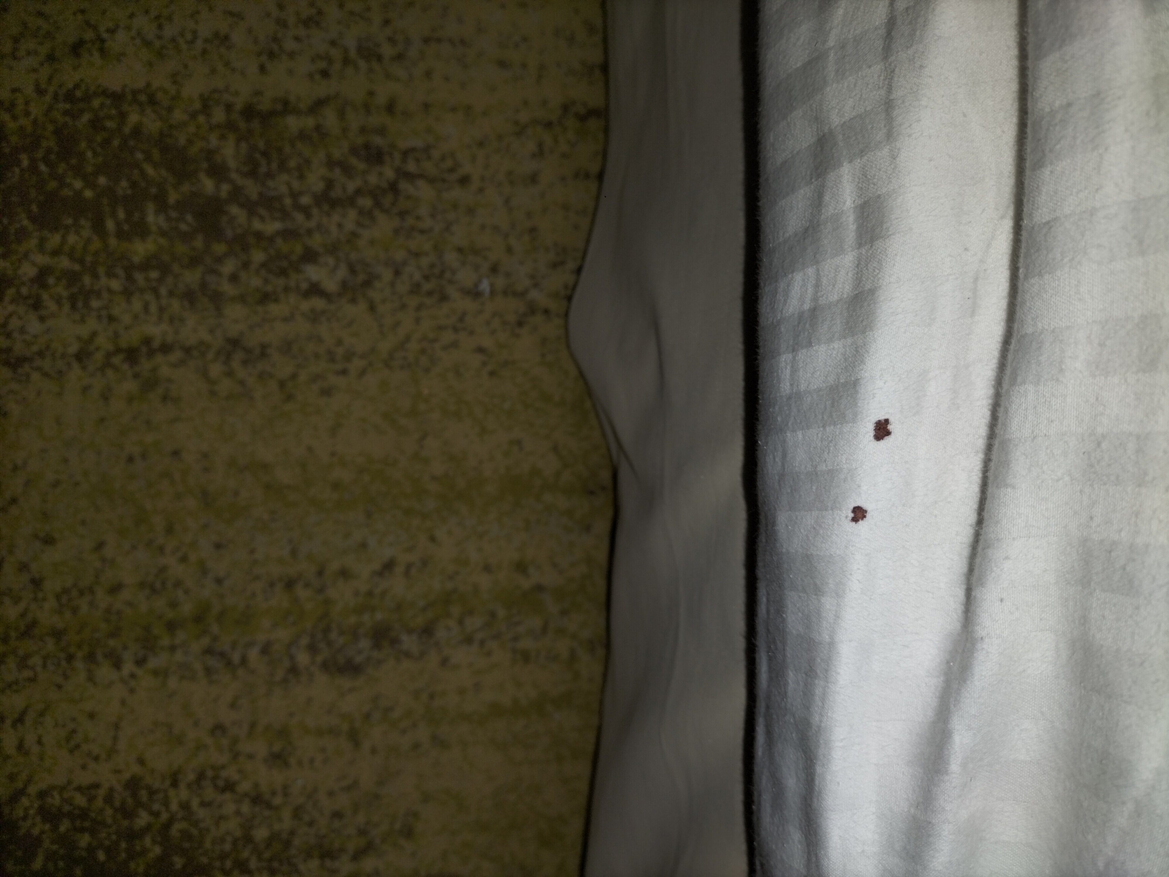 Avenra Gangaara Hotel-官方