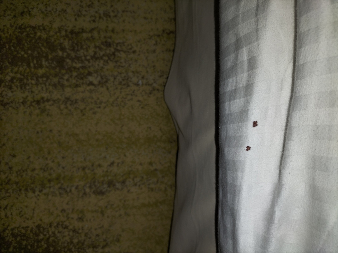 Avenra Gangaara Hotel主图