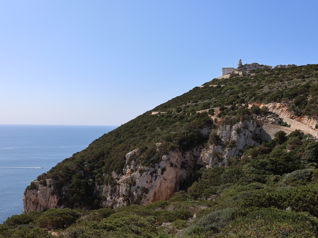 Capo Caccia Vertical Cliffs-阿尔盖罗必去景点