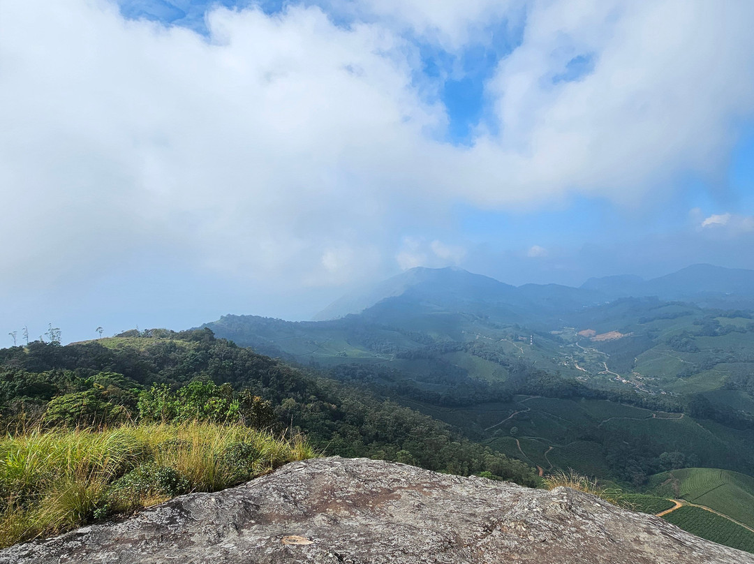 Munnar Nature Trekking Adventures景点图片