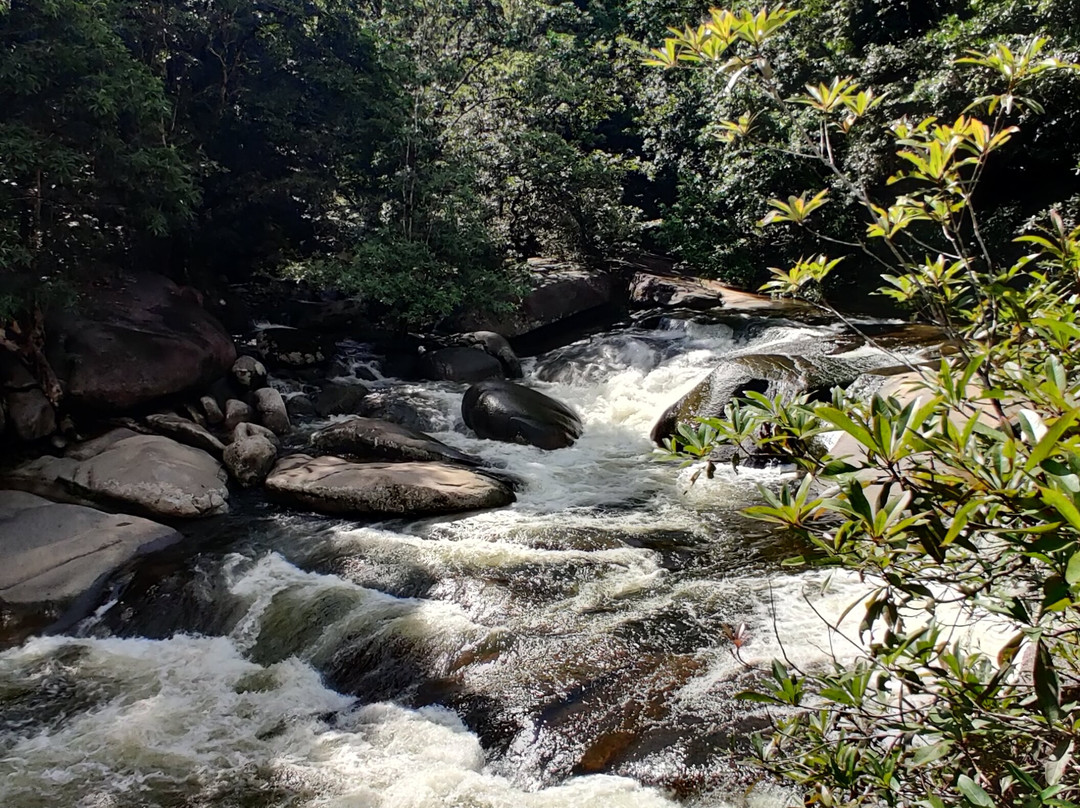 Tropic Tours-凯恩斯必去景点