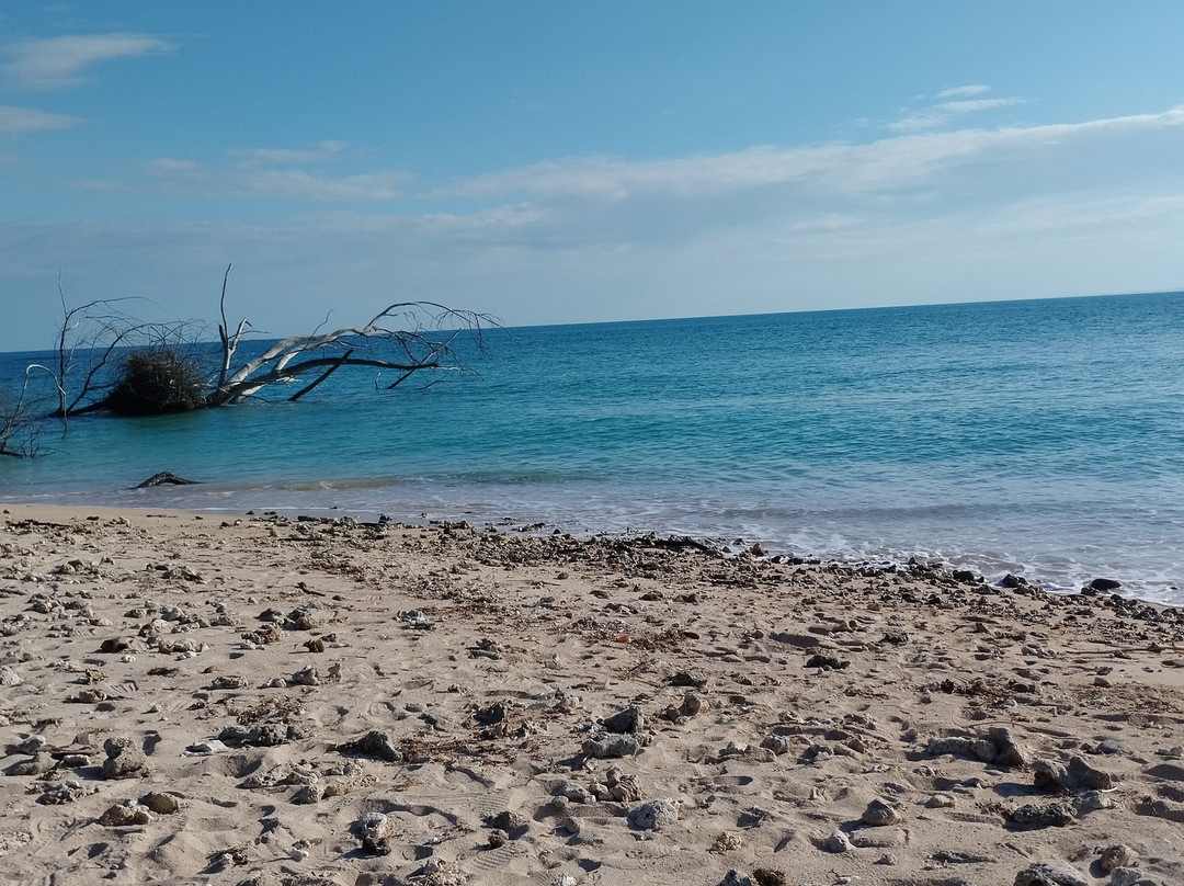 Isla De Enmedio-Boca del Rio必去景点