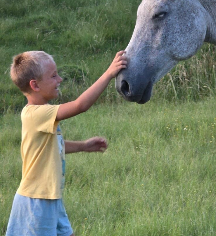 Oban Farm Stay Van Reenen主图