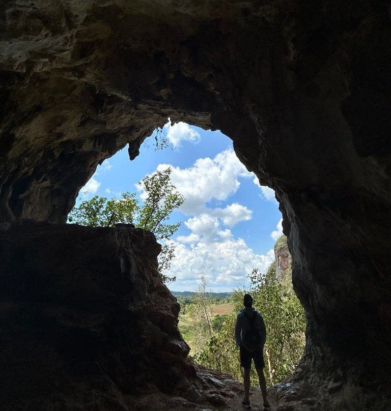 Discovering Viñales景点图片