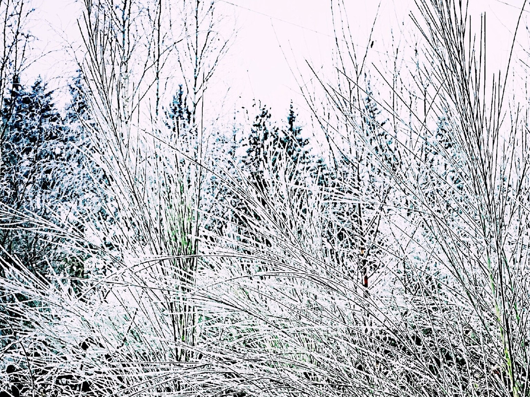 Weinhotel Ayler Kupp主图