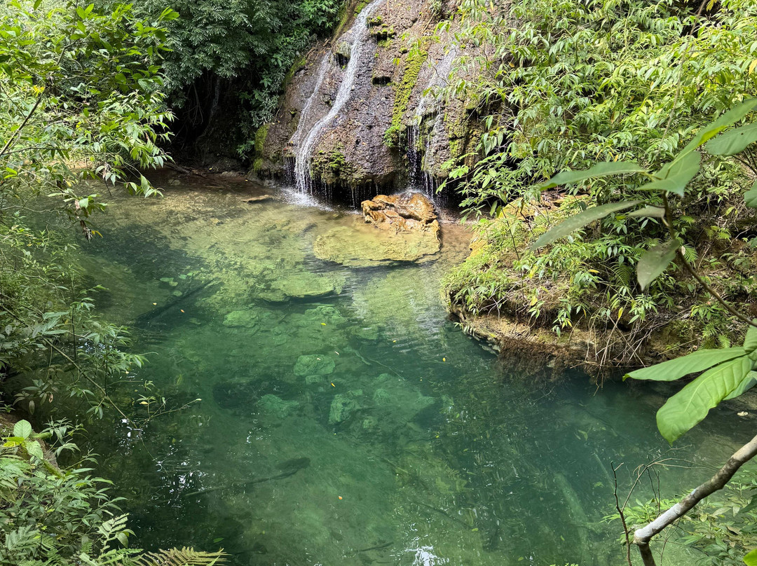 Cachoeiras do Rio do Peixe-Rio Negro必去景点