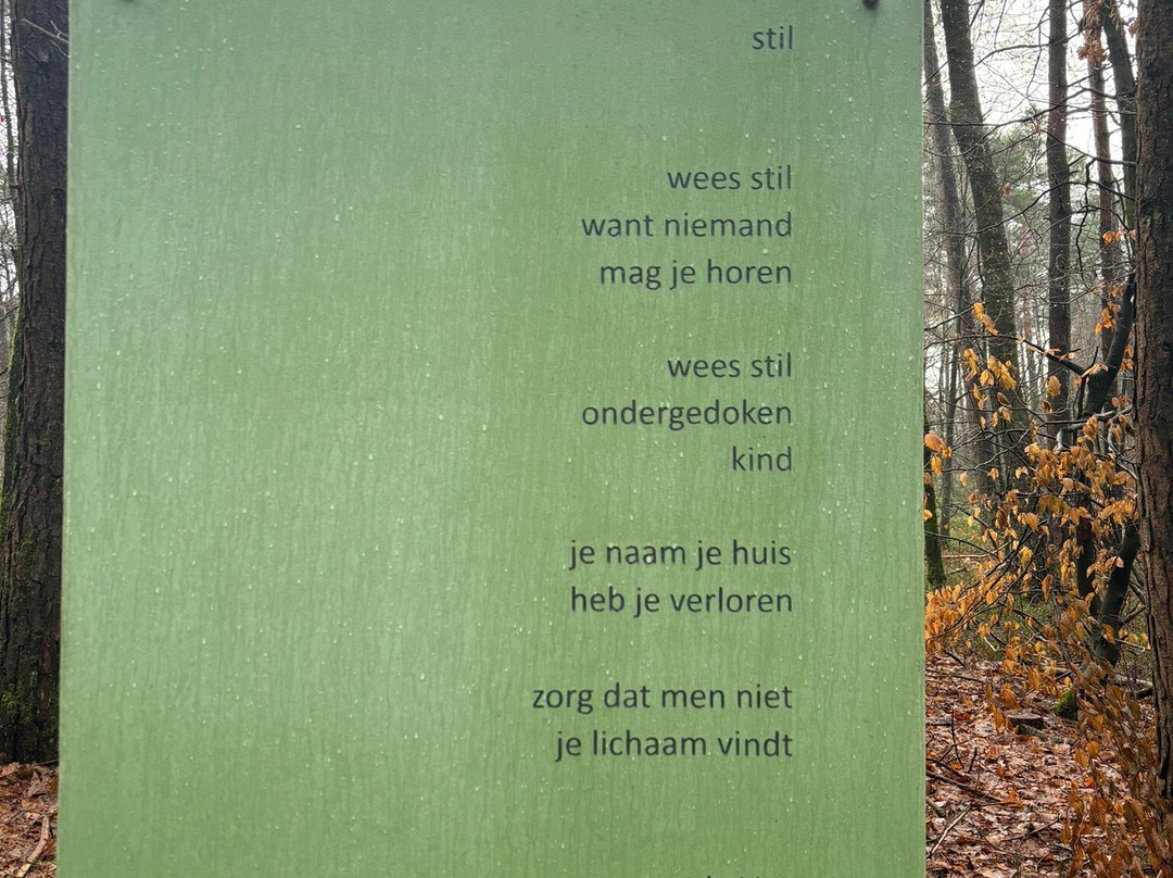 Het Verscholen Dorp景点图片