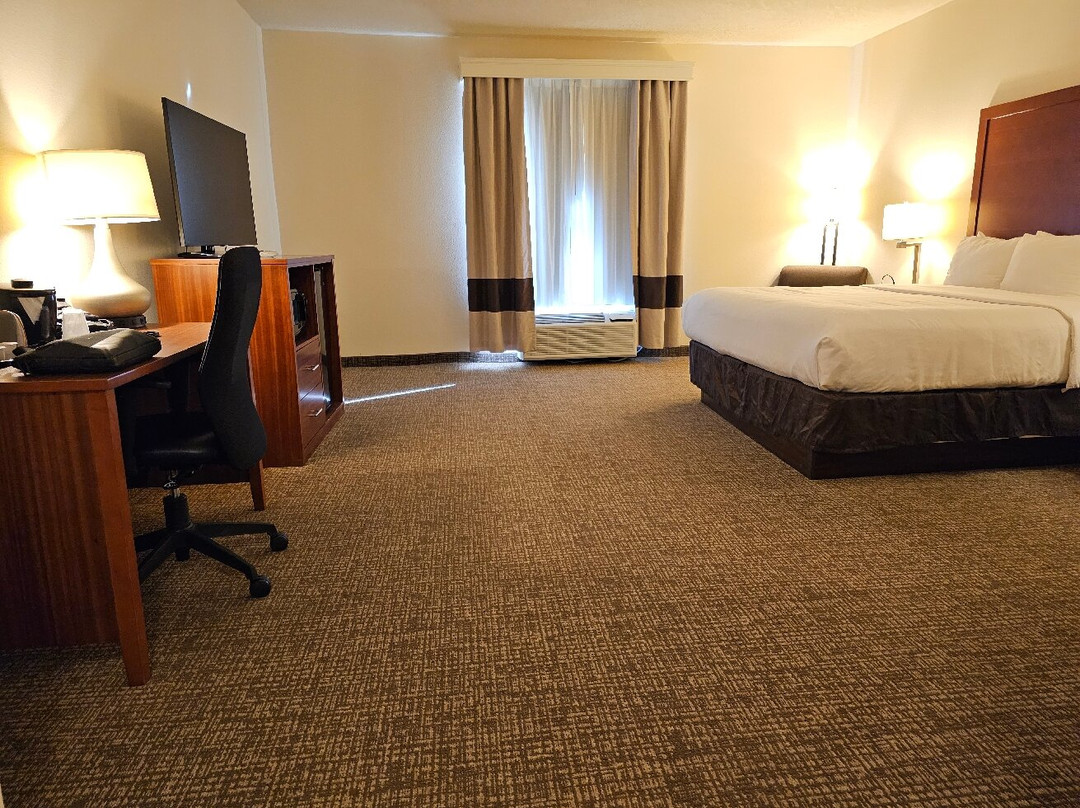 Comfort Inn & Suites主图