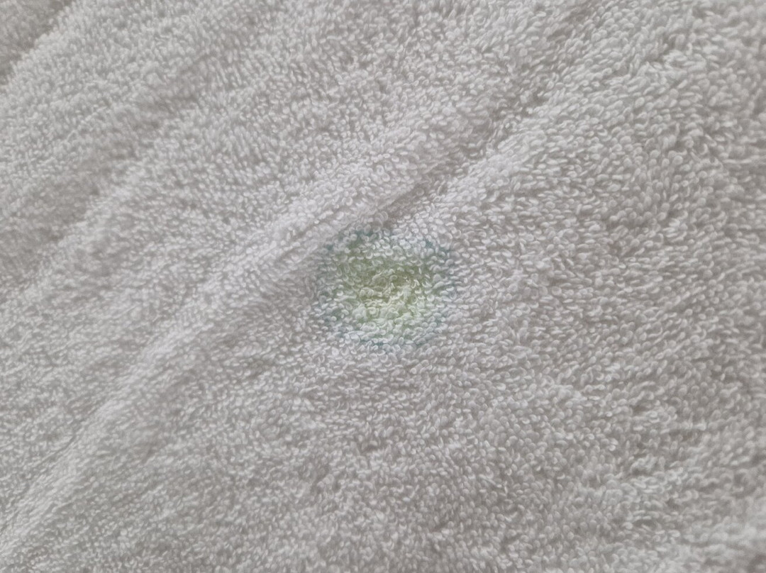 Apartaments Turistics Natural Suites Manzano 3000