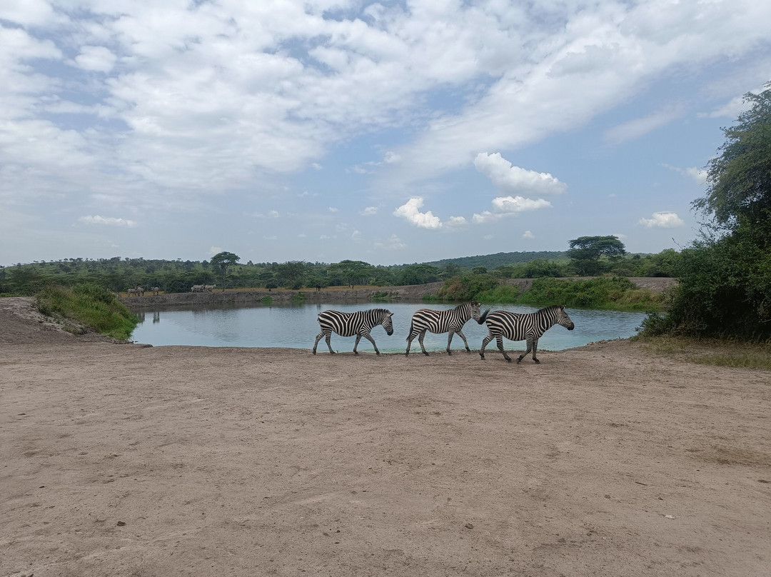 Bujo Safaris-Kasese必去景点