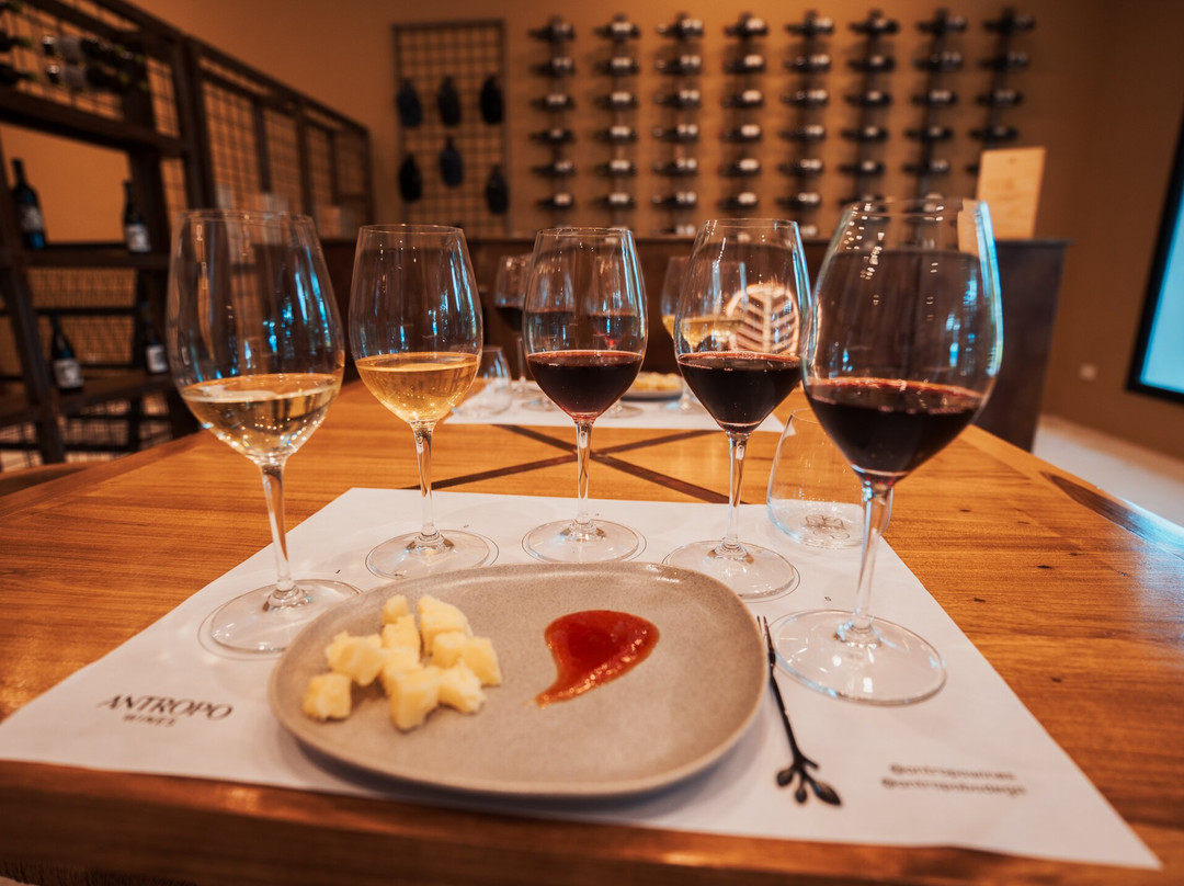 阿尔托斯德拉维尼亚，葡萄酒酒店和水疗中心主图