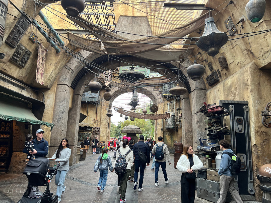 Star Wars: Galaxy’s Edge-阿纳海姆必去景点