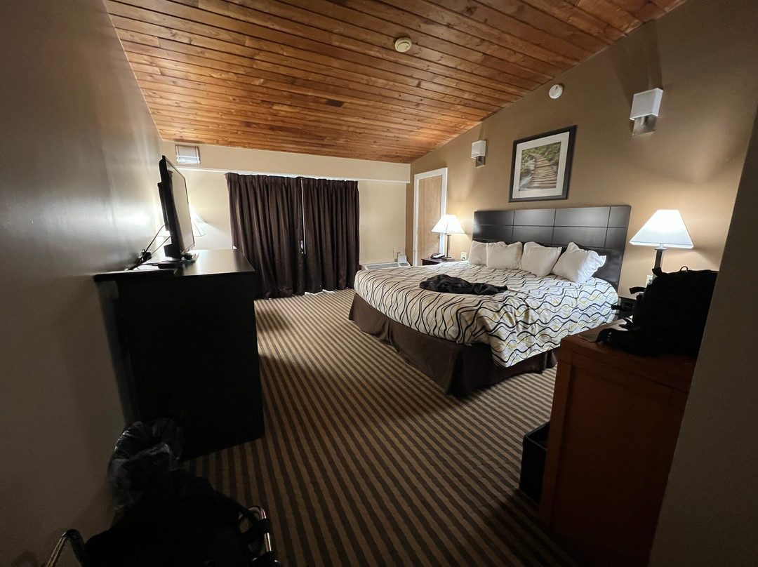 The Putney Inn主图