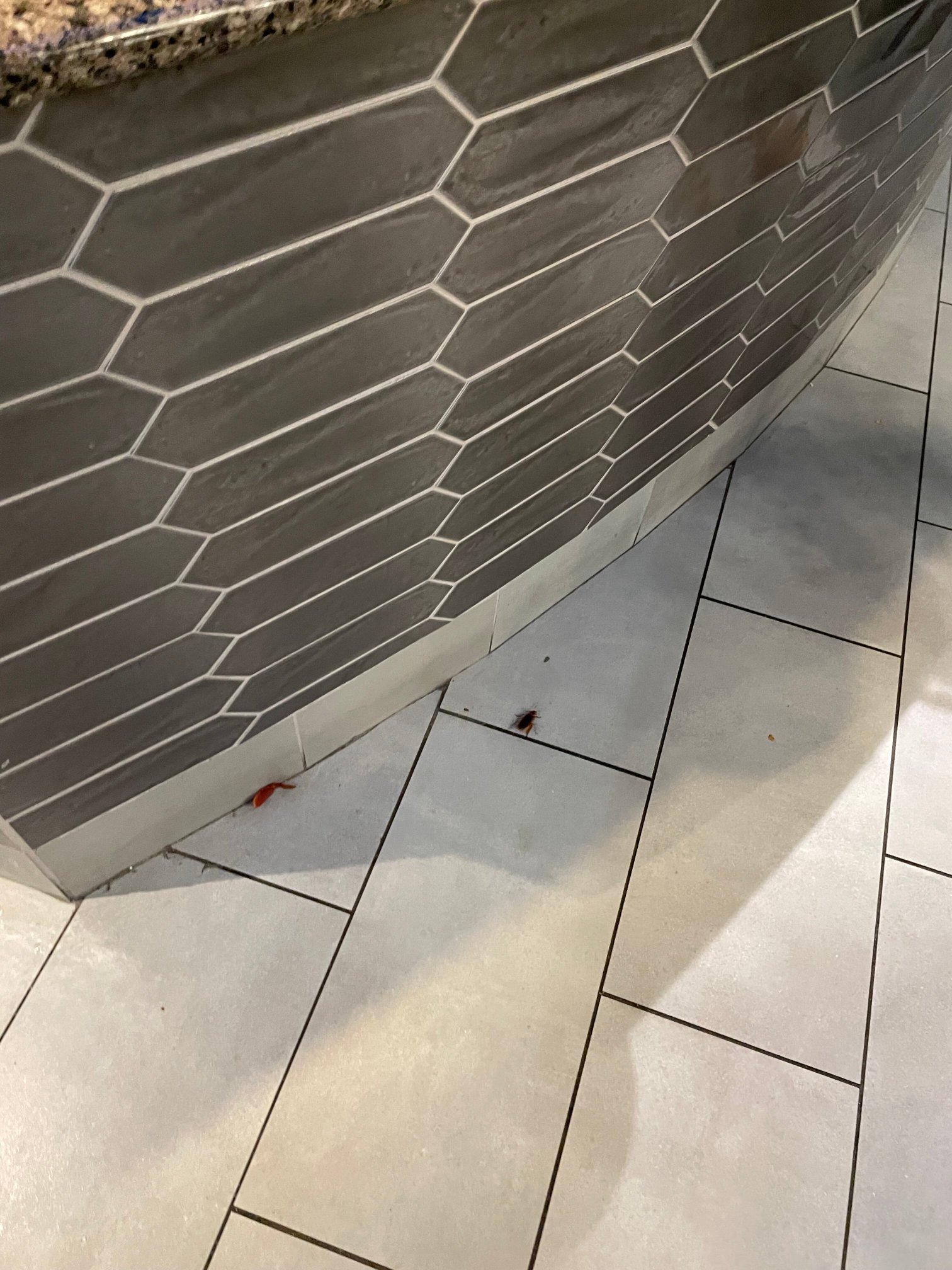 DoubleTree by Hilton Davenport-官方