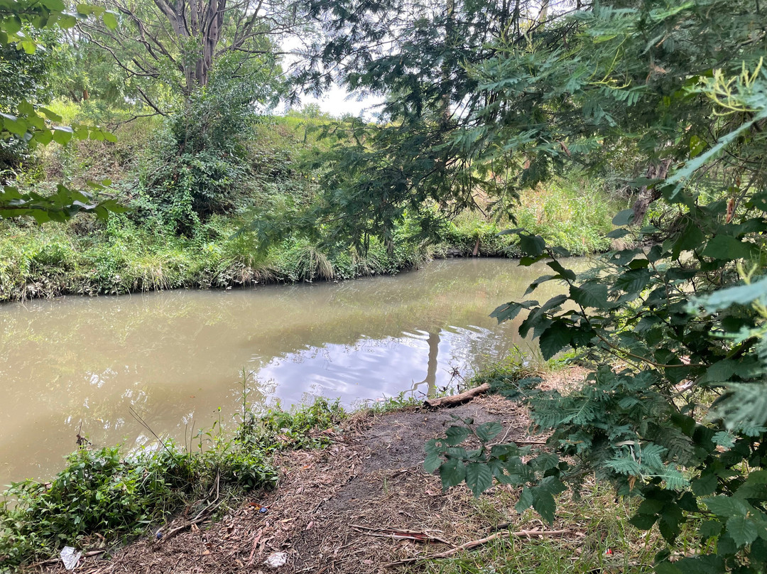 Bert Thompson Reserve-特拉拉尔根必去景点