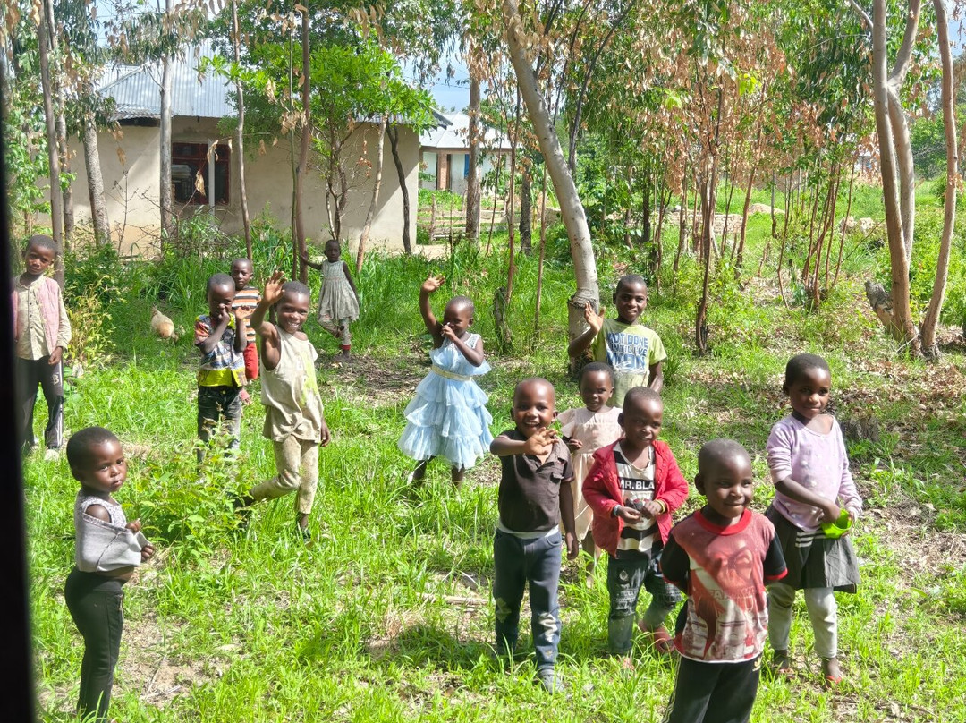 GREAT MINDS TOURS & SAFARI-Dar es Salaam必去景点