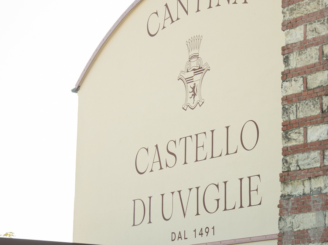 Cantina Castello Di Uviglie景点图片