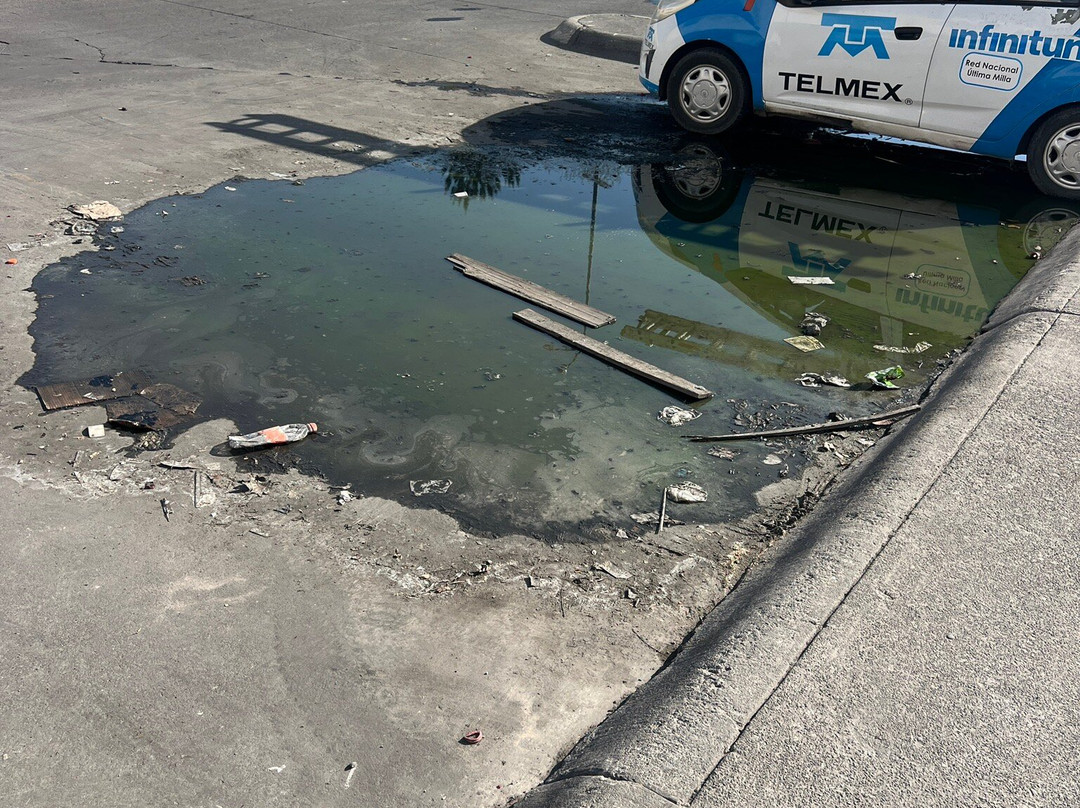 Forum Tlaquepaque-瓜达拉哈拉必去景点