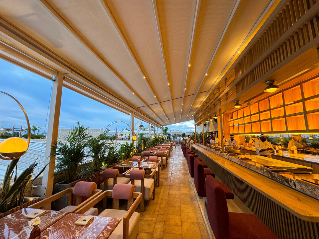 Viva La Vida Cartagena