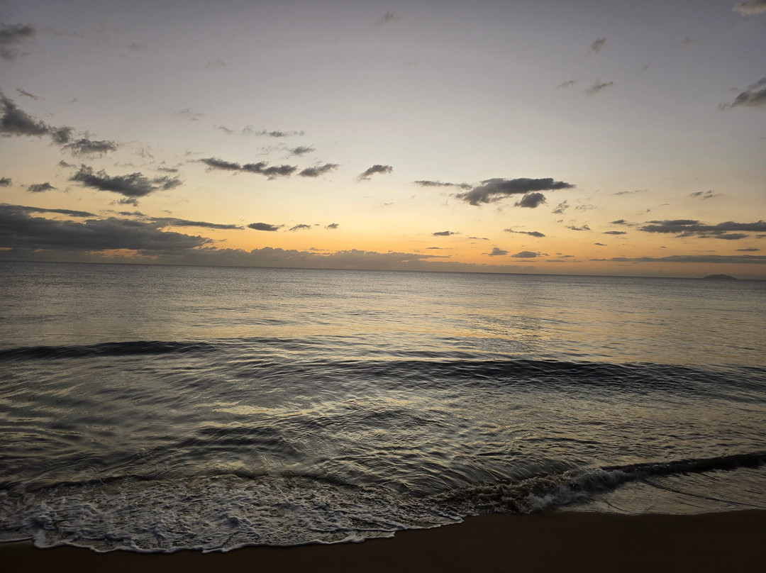 Coconut Palms Inn主图