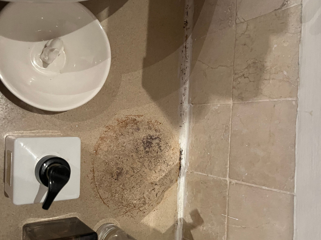 Holden Manz Country House主图