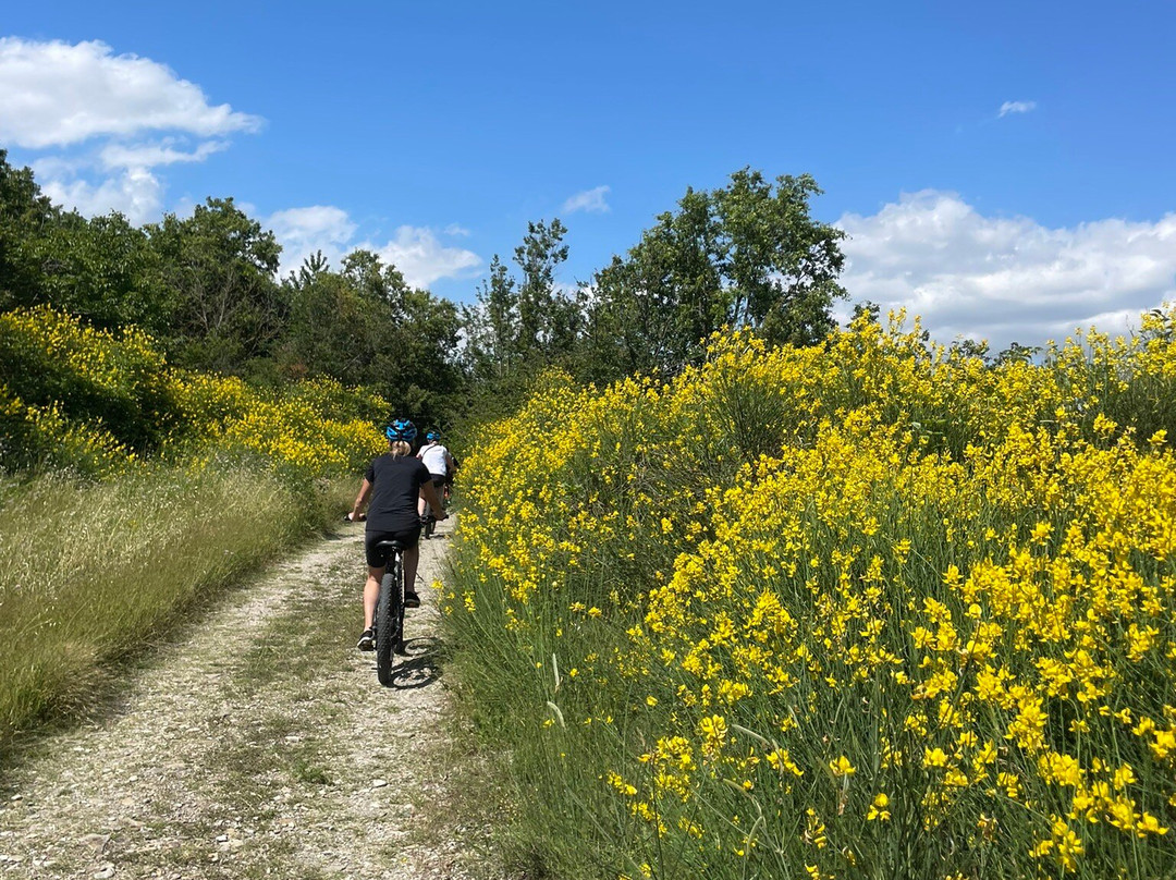 LA COMODA BIKE 2-萨尔索马焦雷泰尔梅必去景点