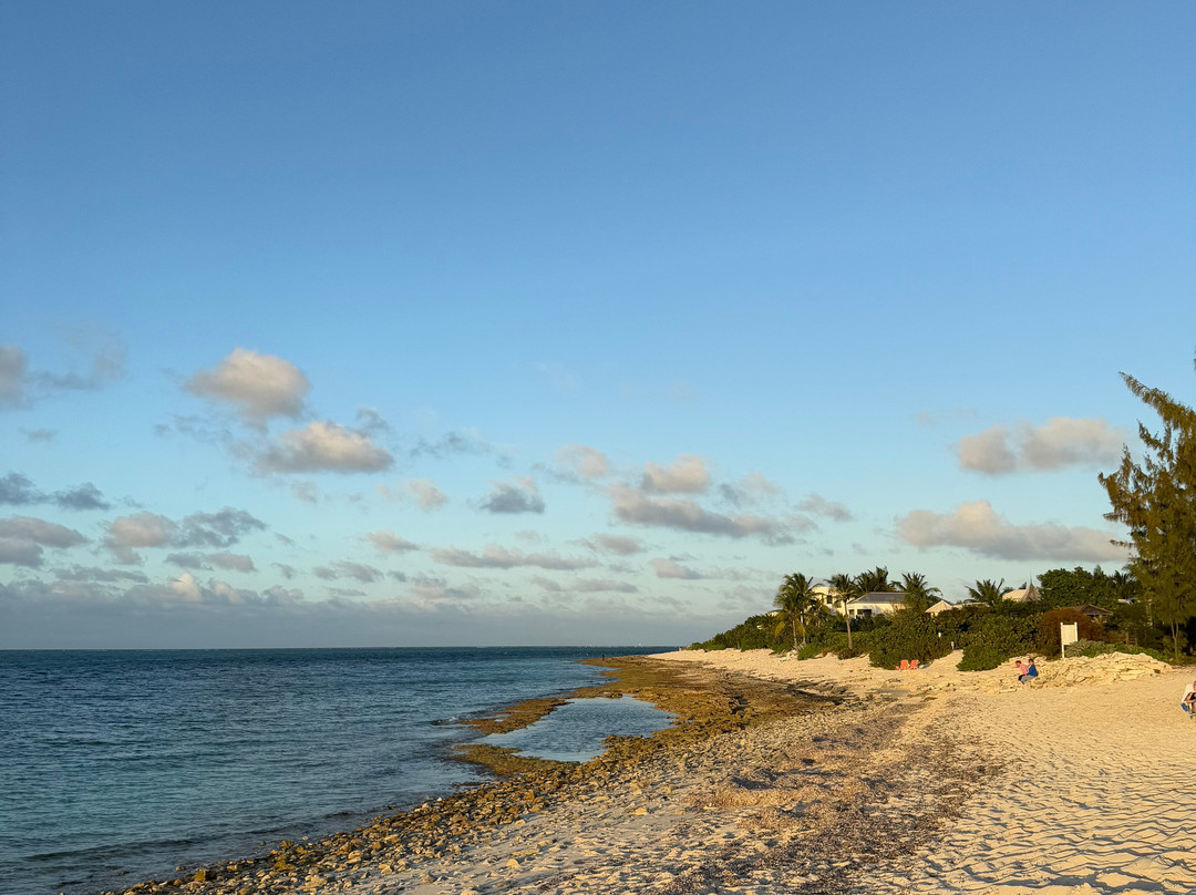 Smith's Reef-特克斯和凯科斯必去景点