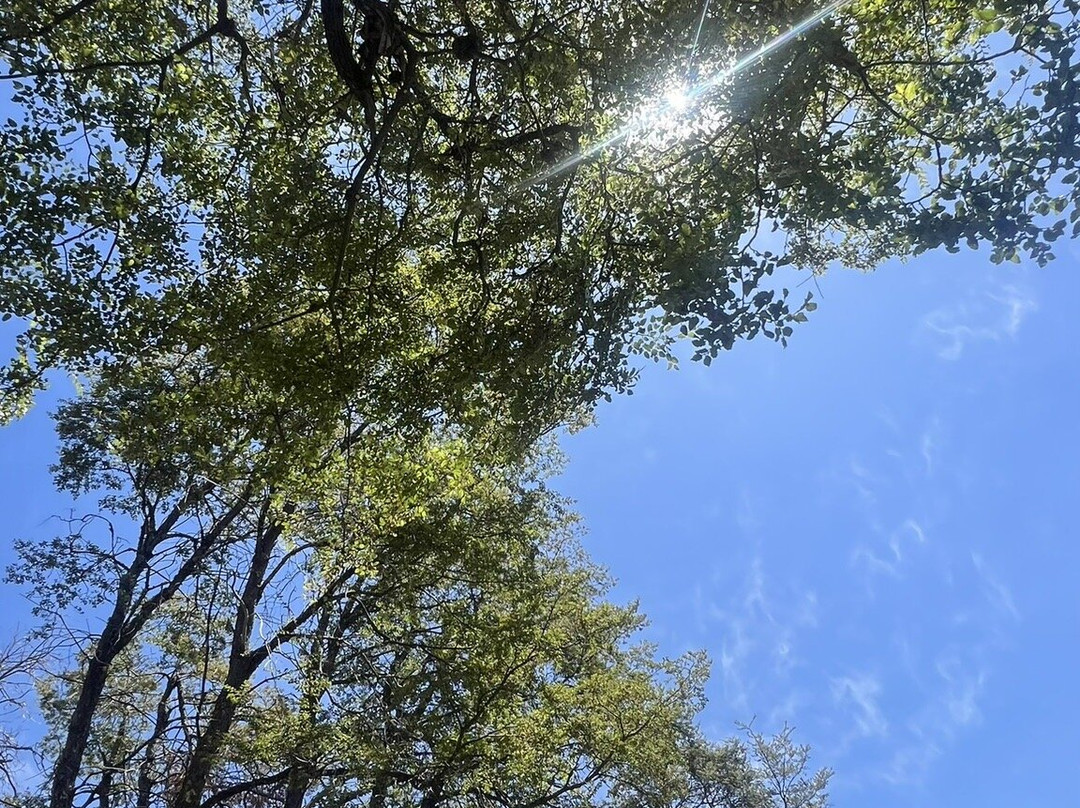 Hotel Vivo Montaña主图