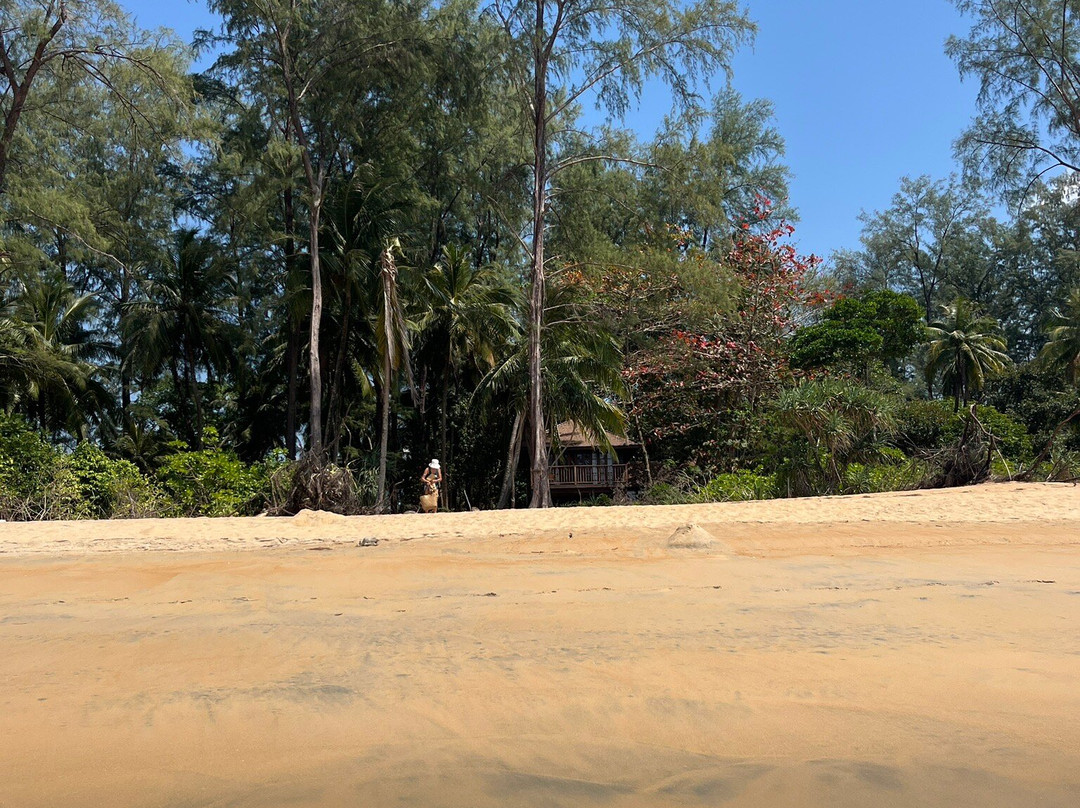 金佛海滩度假村主图