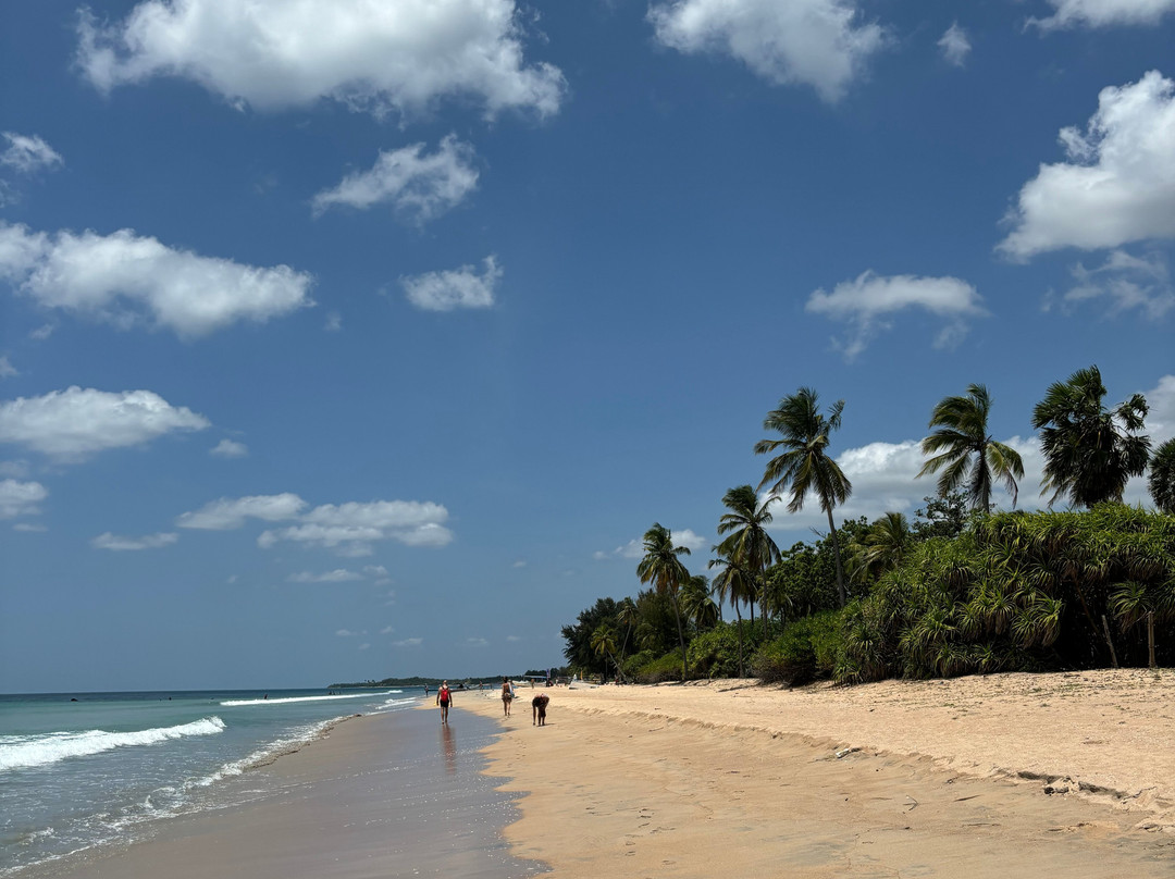 Sri Lanka Heritance Tours景点图片