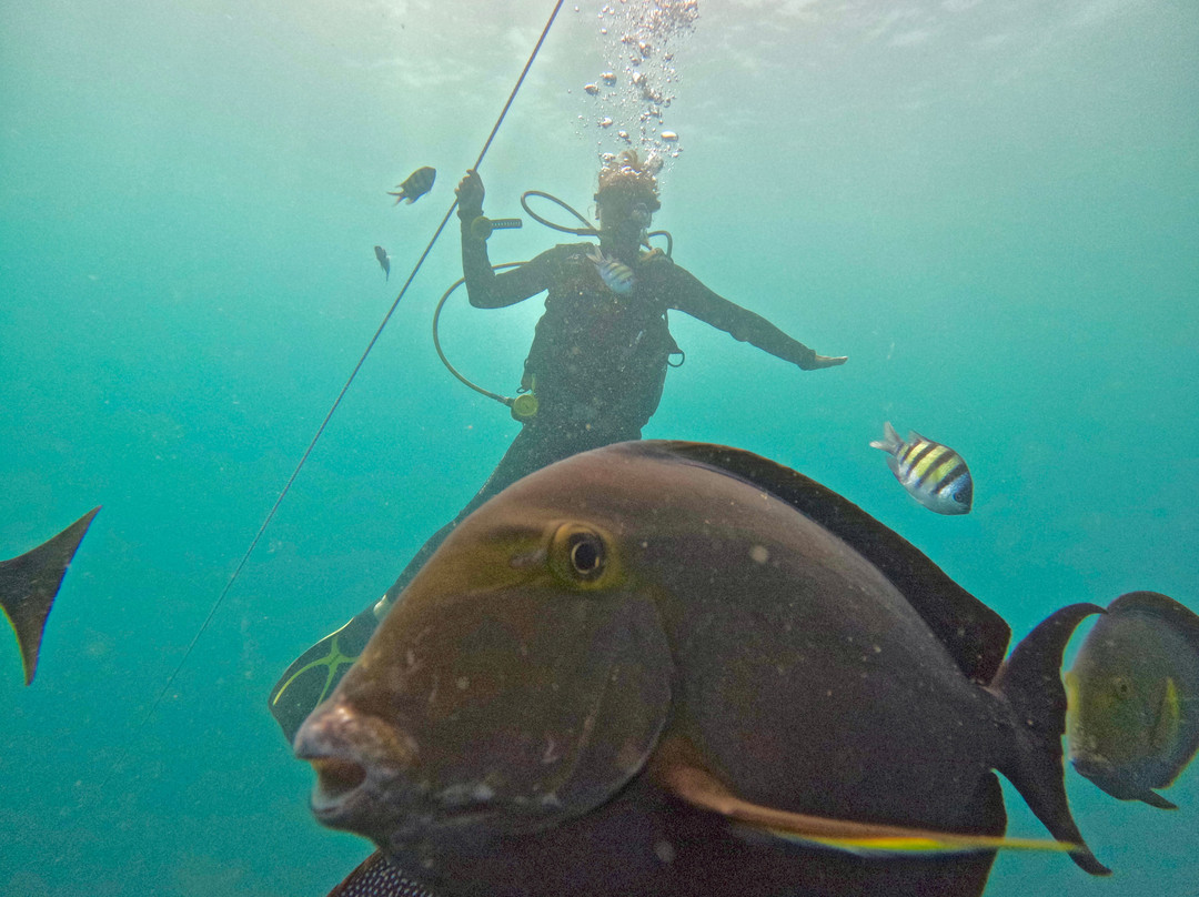 Trinco Bay Dive Center-Trincomalee必去景点