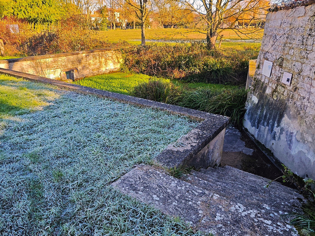 Lavoir Du Renou