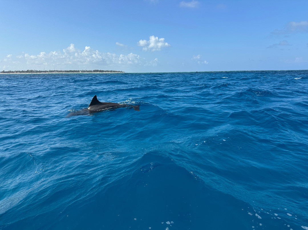 ScubaCaribe, Zanzibar-孥归必去景点