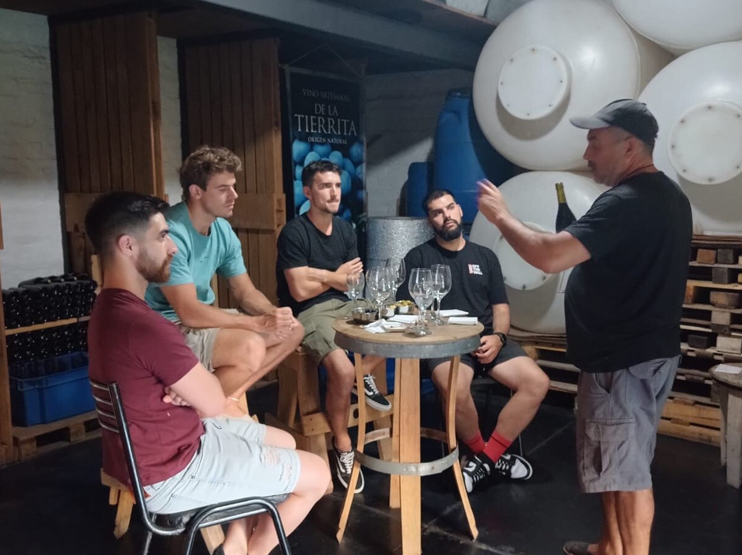 Bodega Familiar Agroecológica De La Tierrita景点图片
