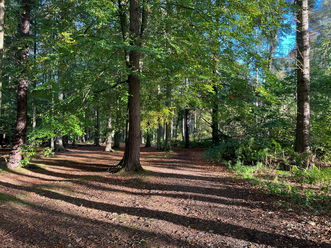 Monikie Country Park-敦提必去景点