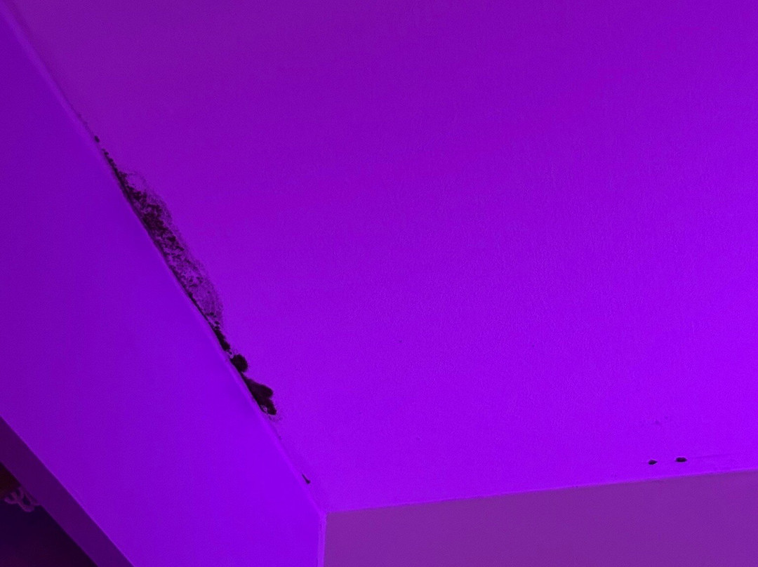 Premier Inn Cockermouth Hotel主图