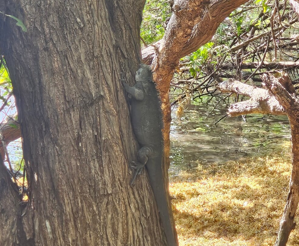 Bon Bagay-La Trinite必去景点