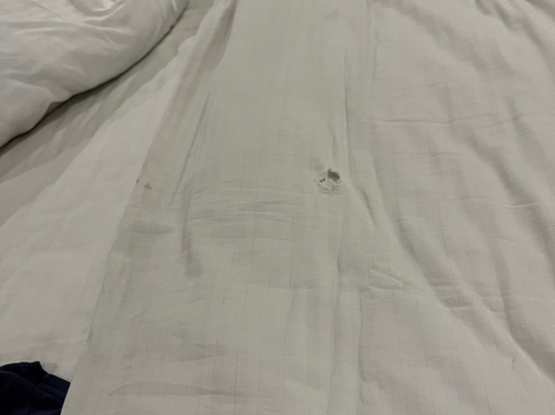 福尔蒙特酒店主图