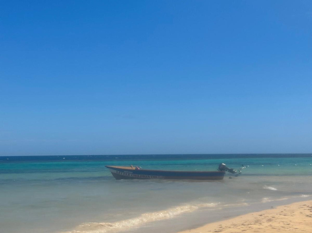 ScubaCaribe - Ocho Rios-奥乔里奥斯必去景点