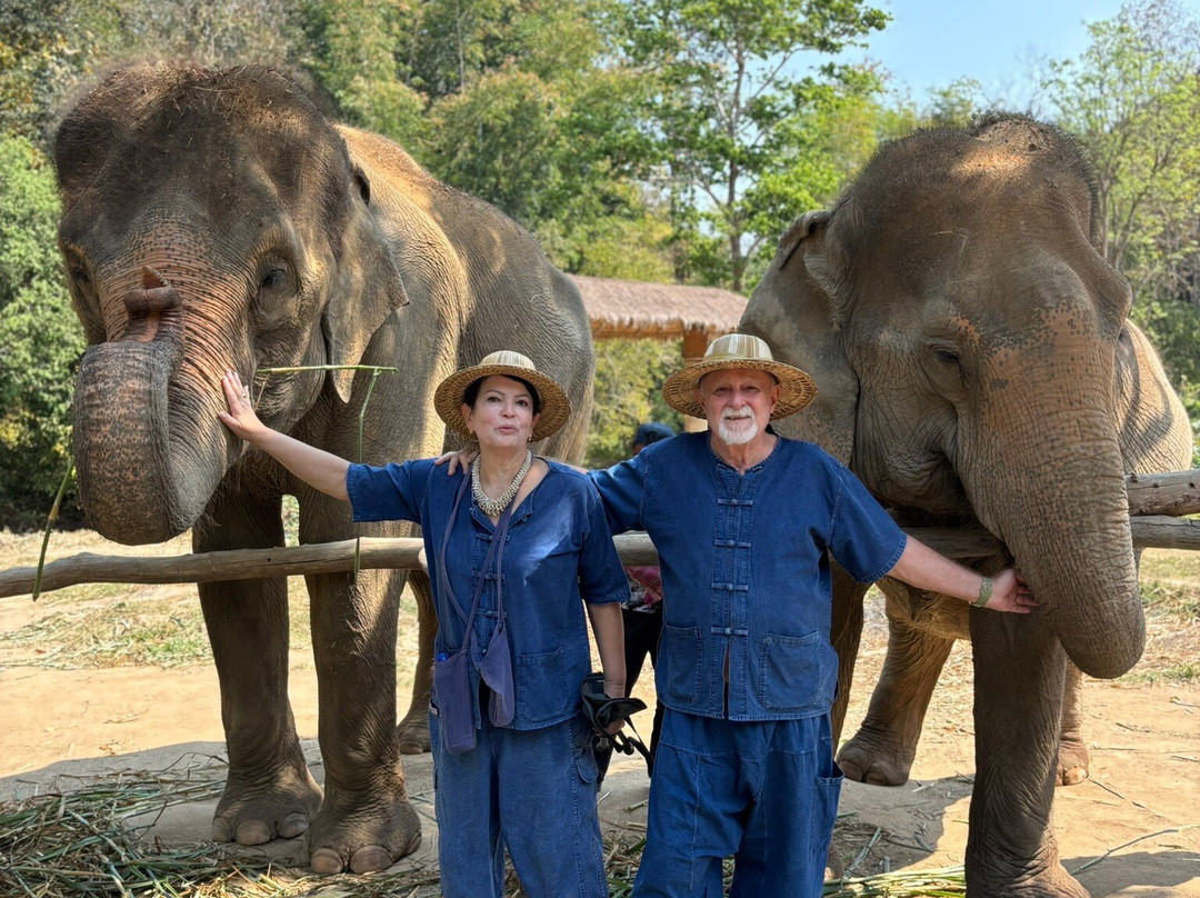 Thai Elephant Care Center-夜林必去景点
